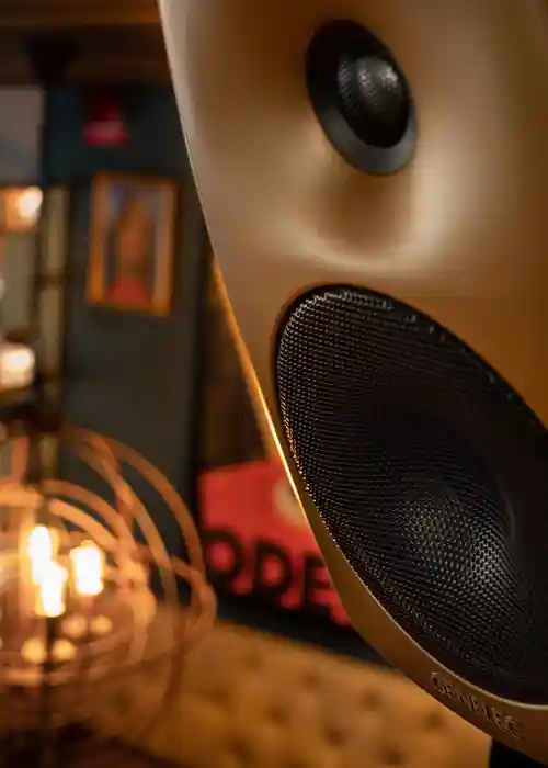 Genelec AV Installation