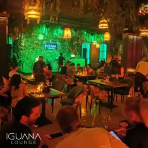 Iguana Lounge